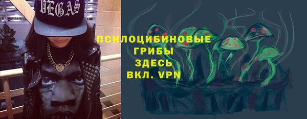 трава Сатка