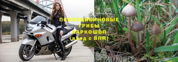 2c-b Горняк