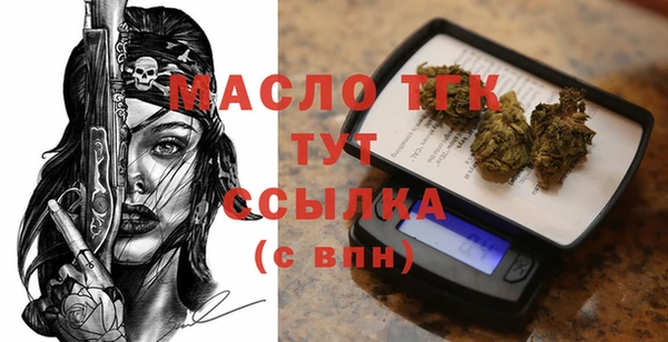 2c-b Горняк