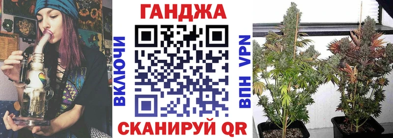 Бошки марихуана Ganja  даркнет сайт  Жиздра 